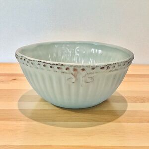Modern Southern Home Capri Robin's Egg Cereal Bowl